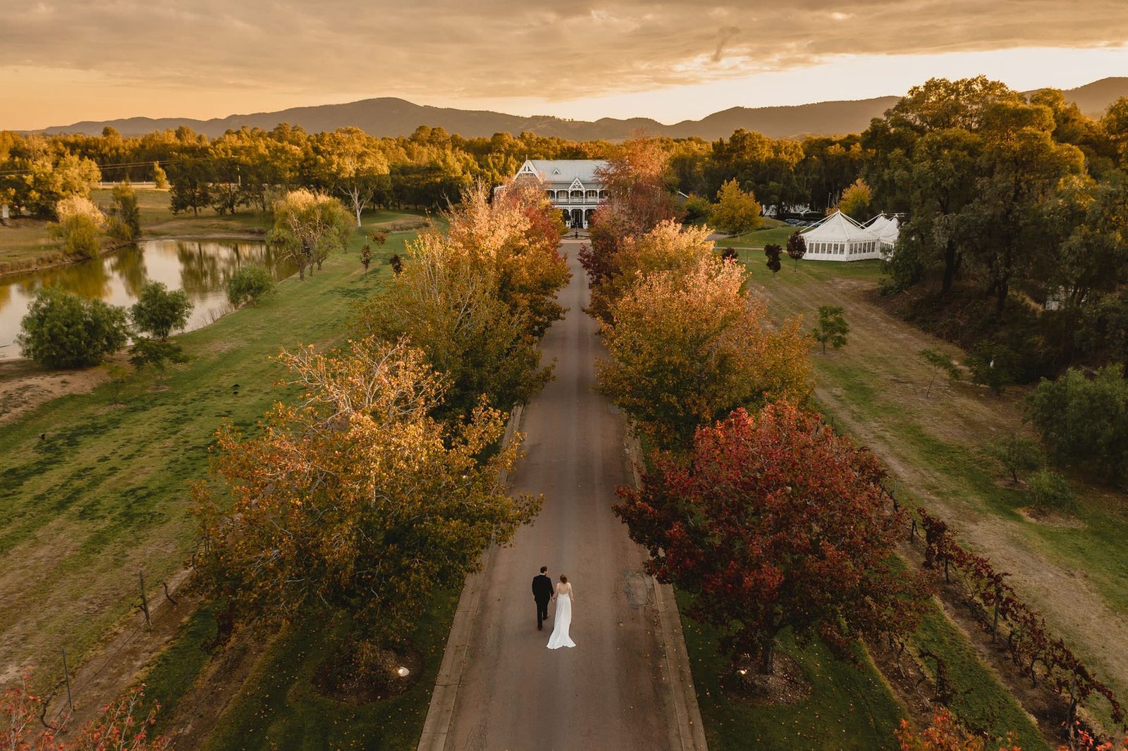 The couple on the autumn-coloured driveway from the air